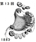 1883 Starr カリキュラム画像_コピー